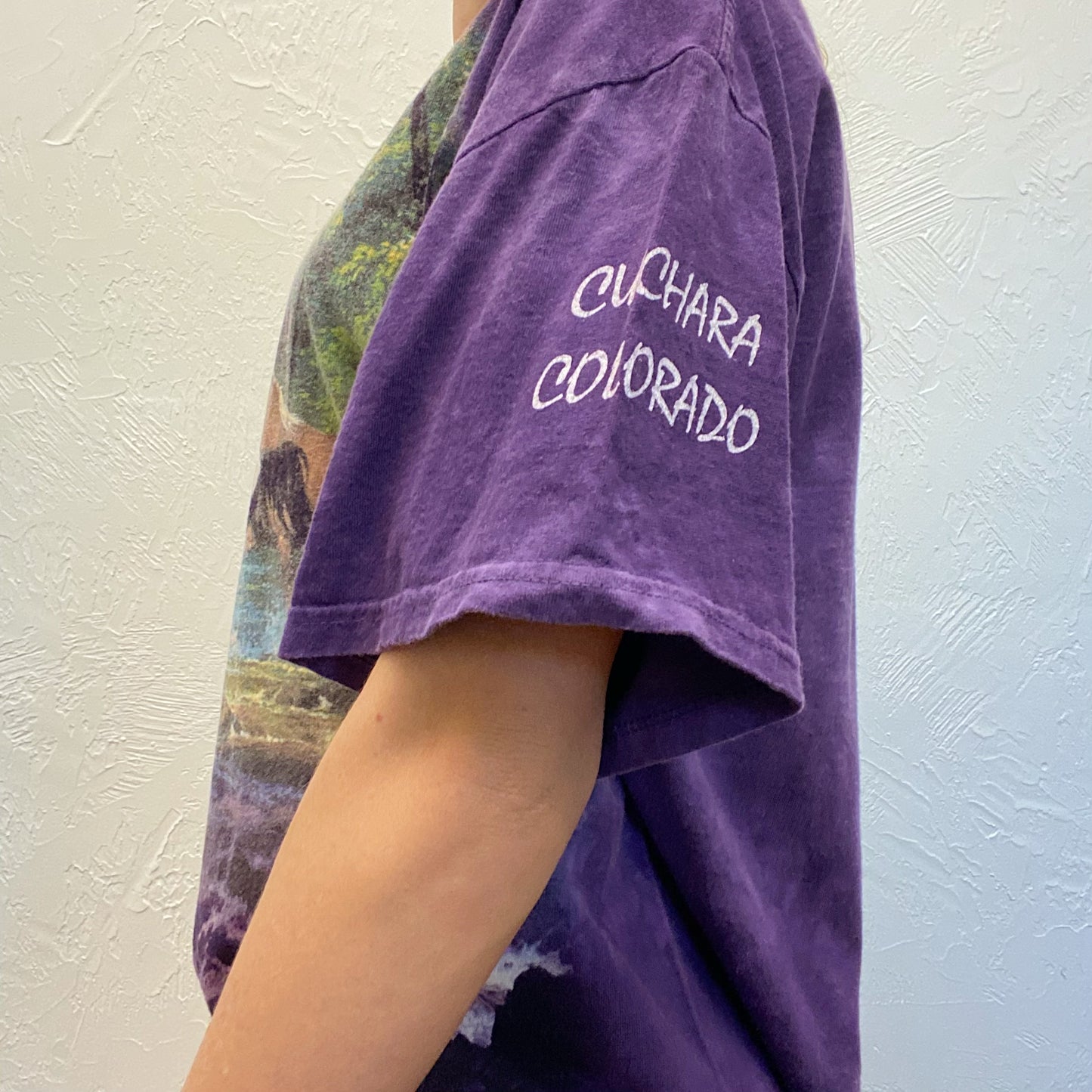 (M) Vintage Horse Tee