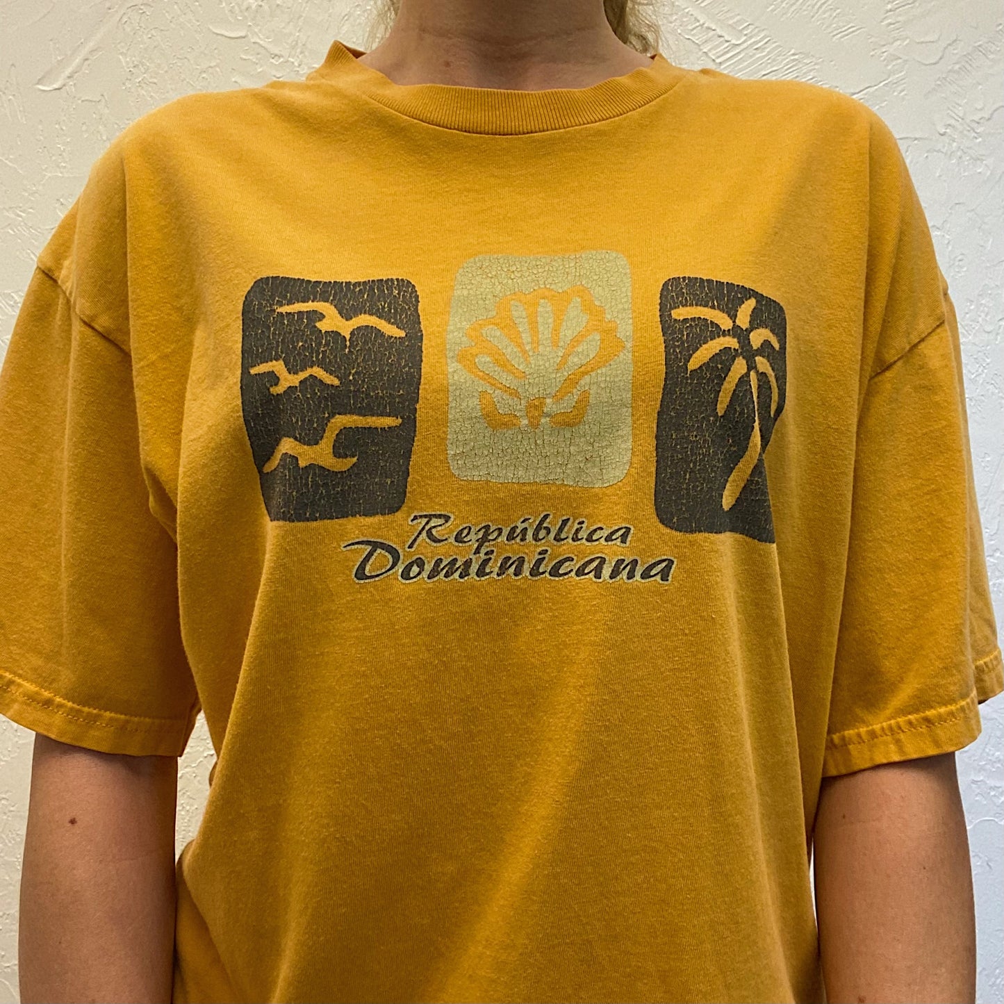 (L) Vintage Beachy Tee