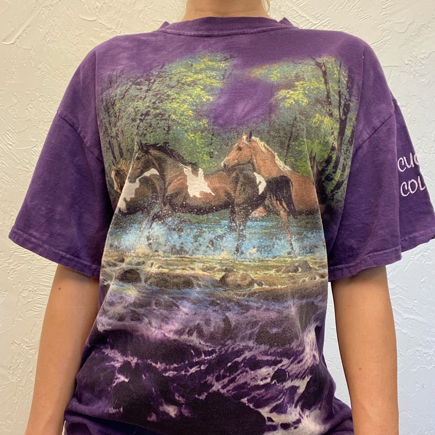 (M) Vintage Horse Tee