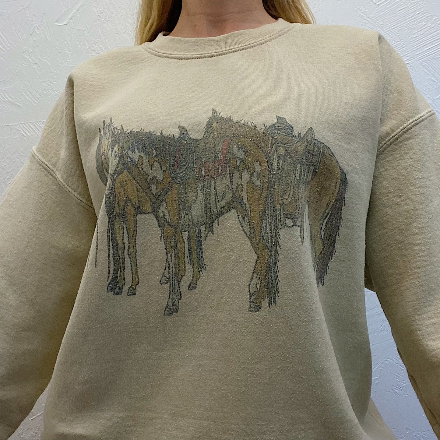 (L) Horse Graphic Sweatshirt